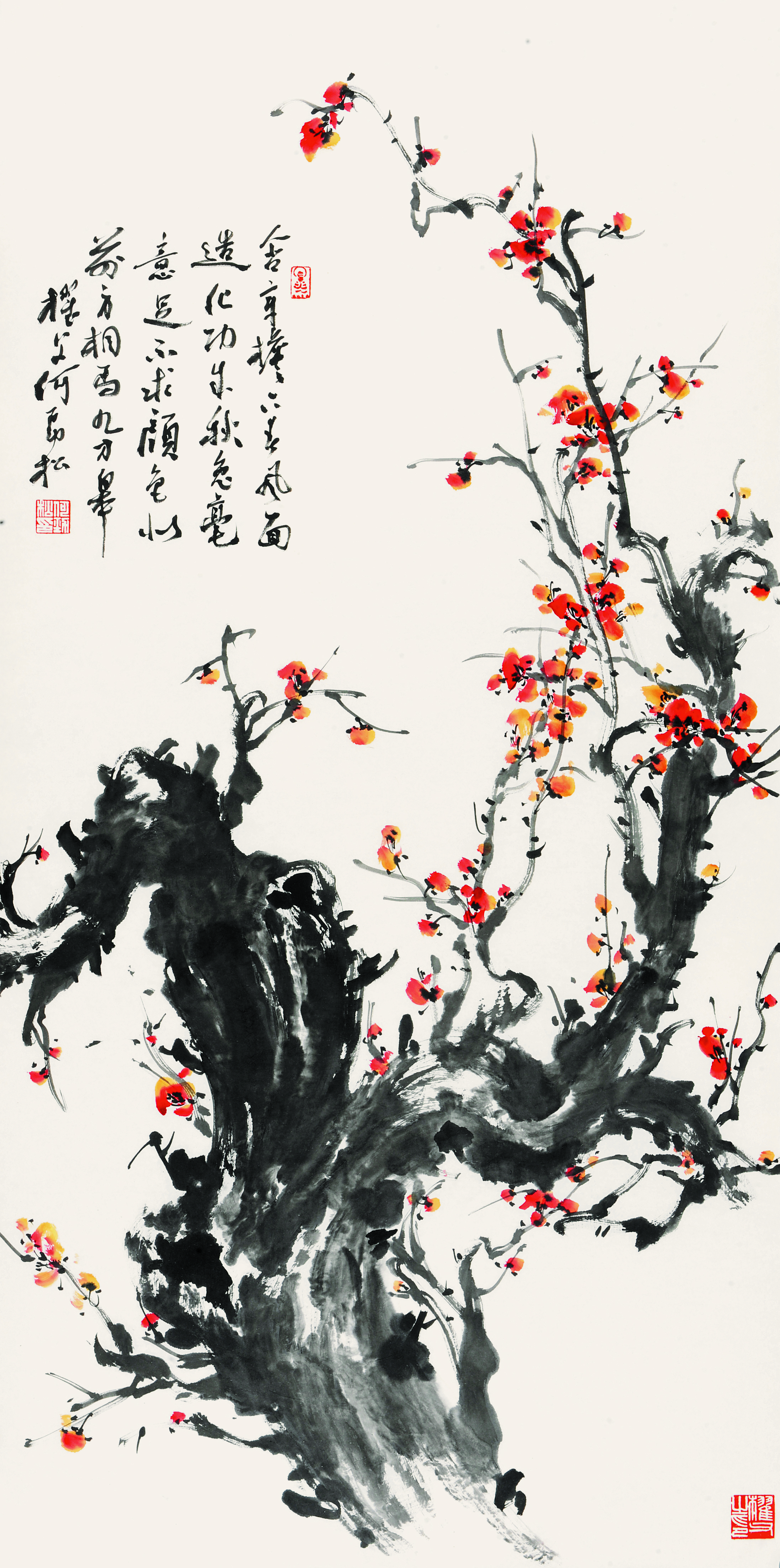 何劲松