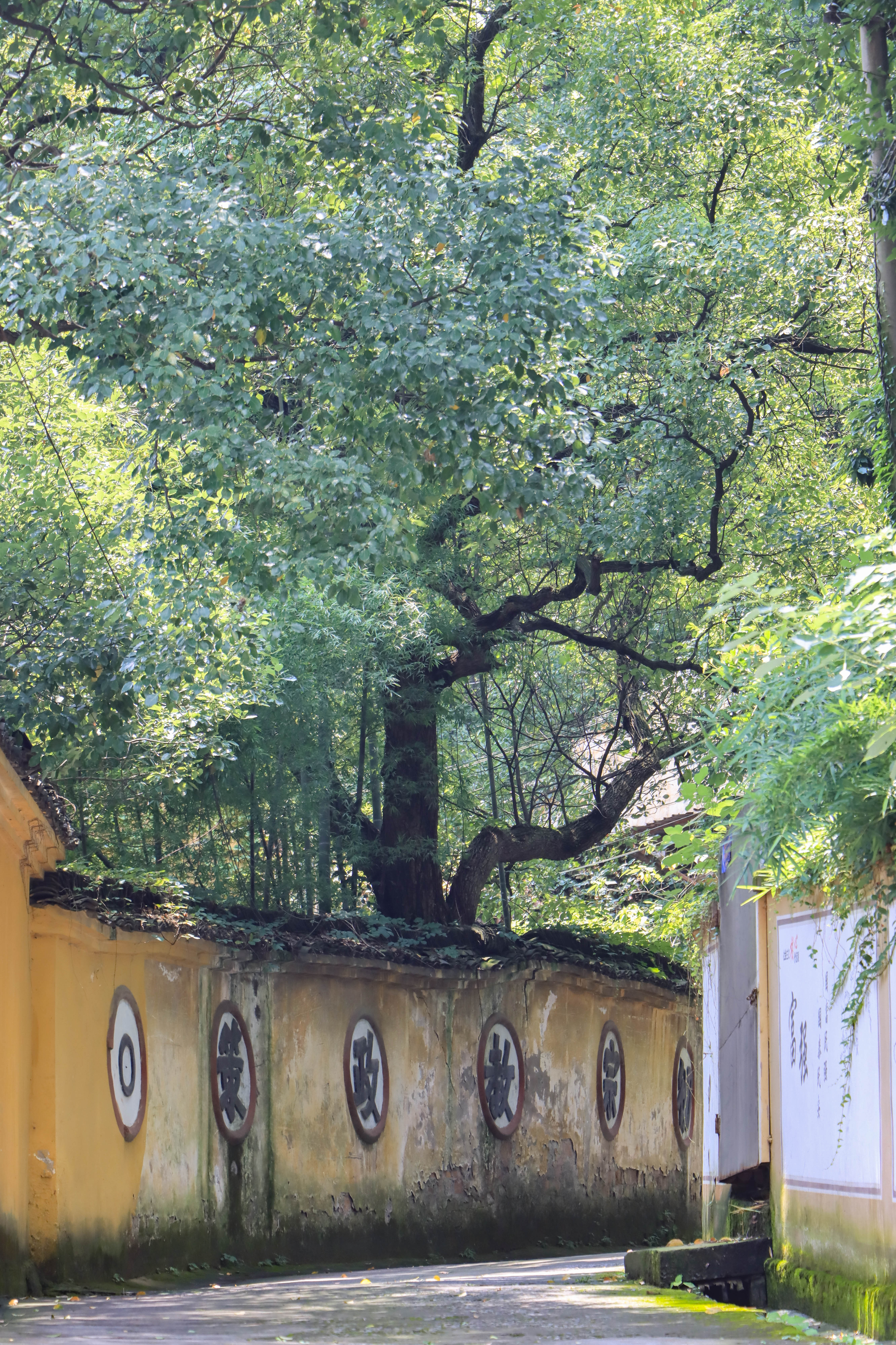 srx">地藏寺,浙江省 a target="_blank" href="/item/萧山市/6087443"