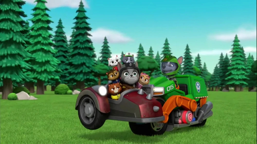  p data-id="go07h6x130">灰灰(rocky)是一只雄性混血狗狗.