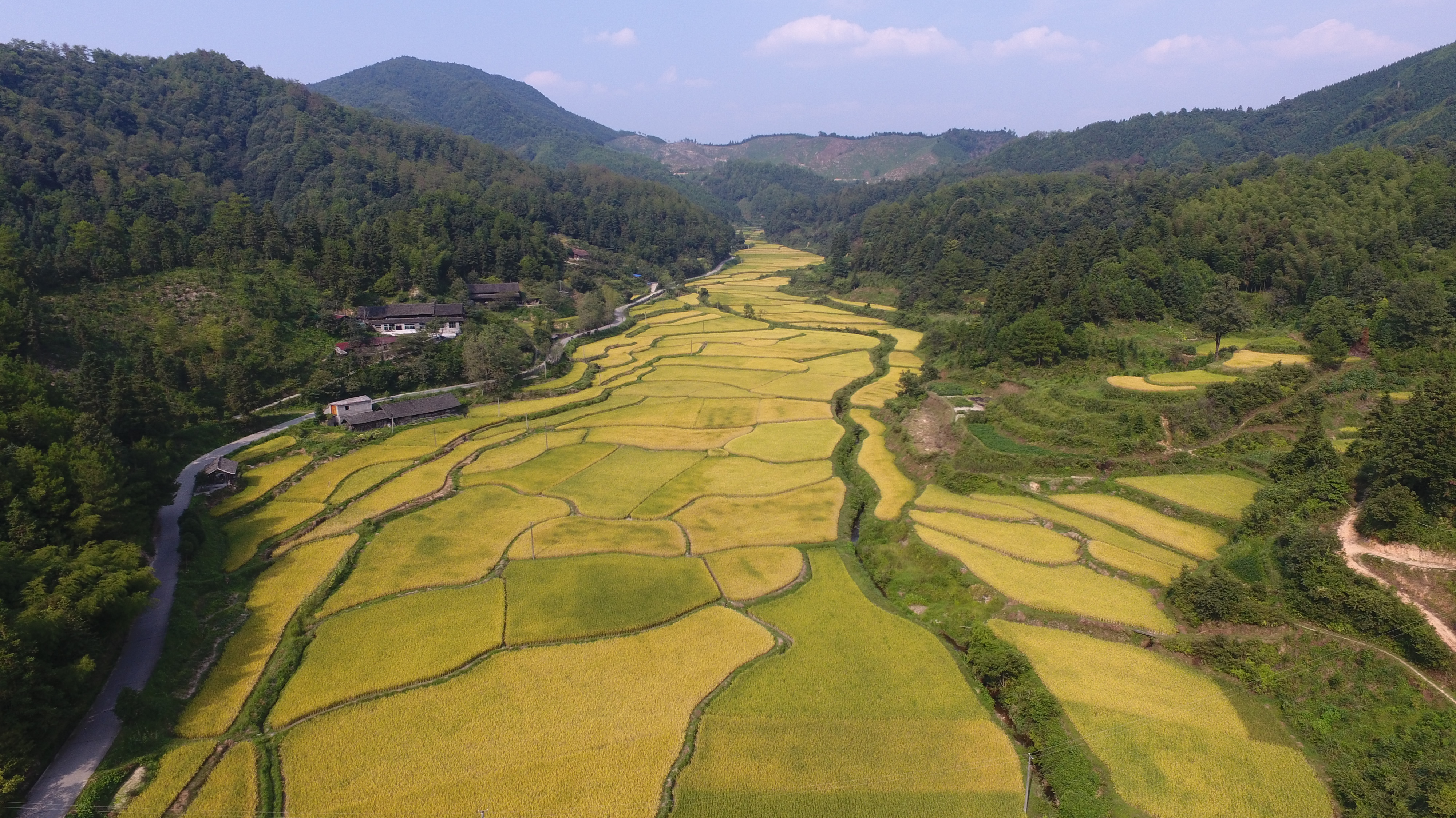 ="/item/湖南省/293174" data-lemmaid="293174">湖南省 /a>怀化 a
