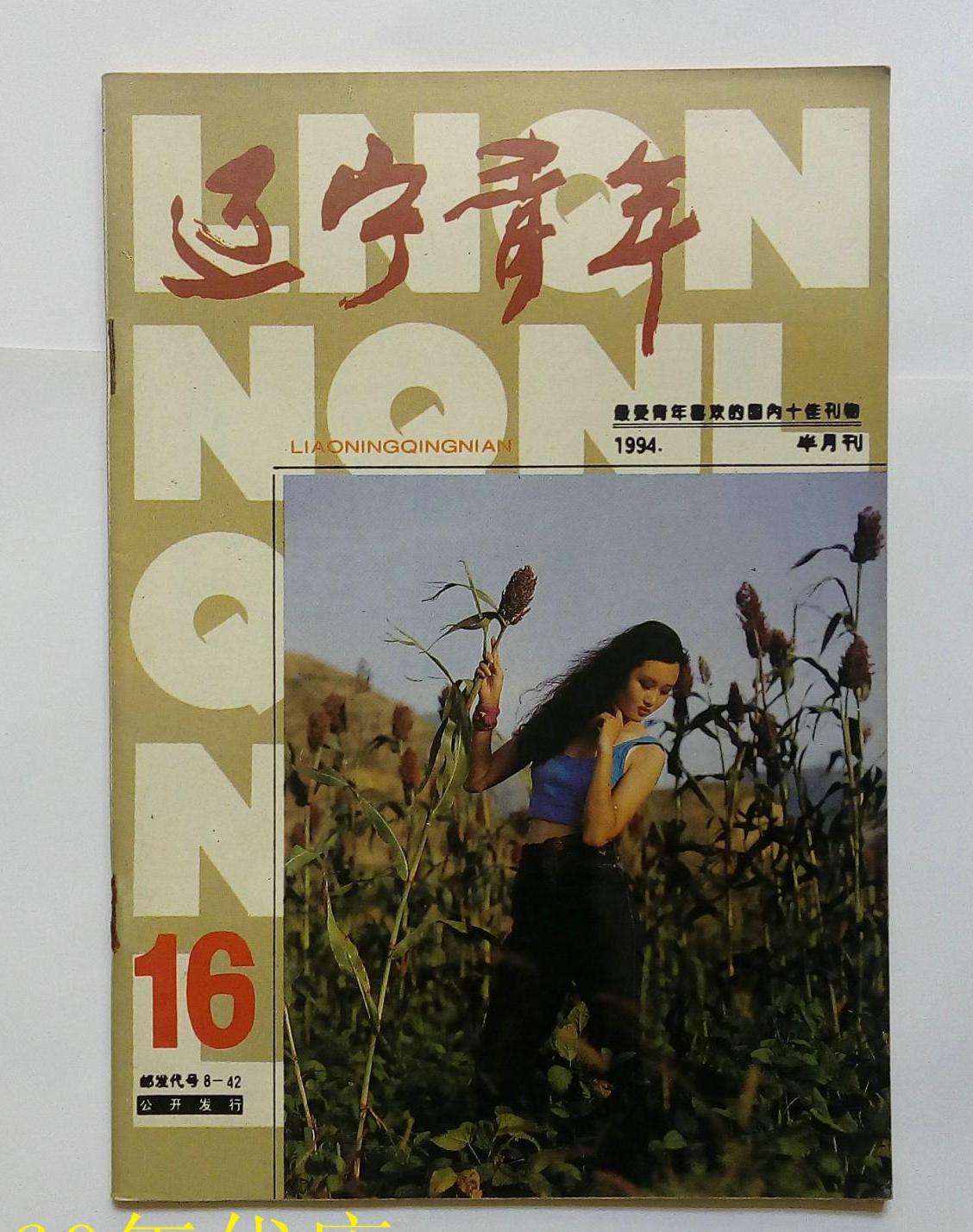 辽宁青年杂志社