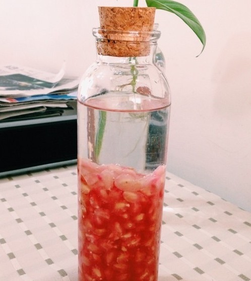 被酵母菌发酵成为酒精的酒,含有水果的风味与酒精饮料,称为自酿水果酒