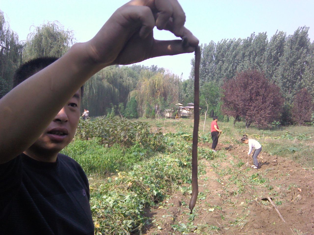  p>巨型蚯蚓,是南美森林中存在着一种巨大的 a href="#" data-lemmaid