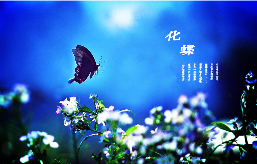 化蝶