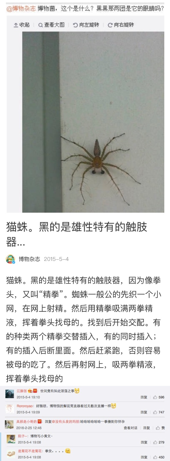 12 个蜘蛛冷知识 想养一只了怎么办 百科ta说