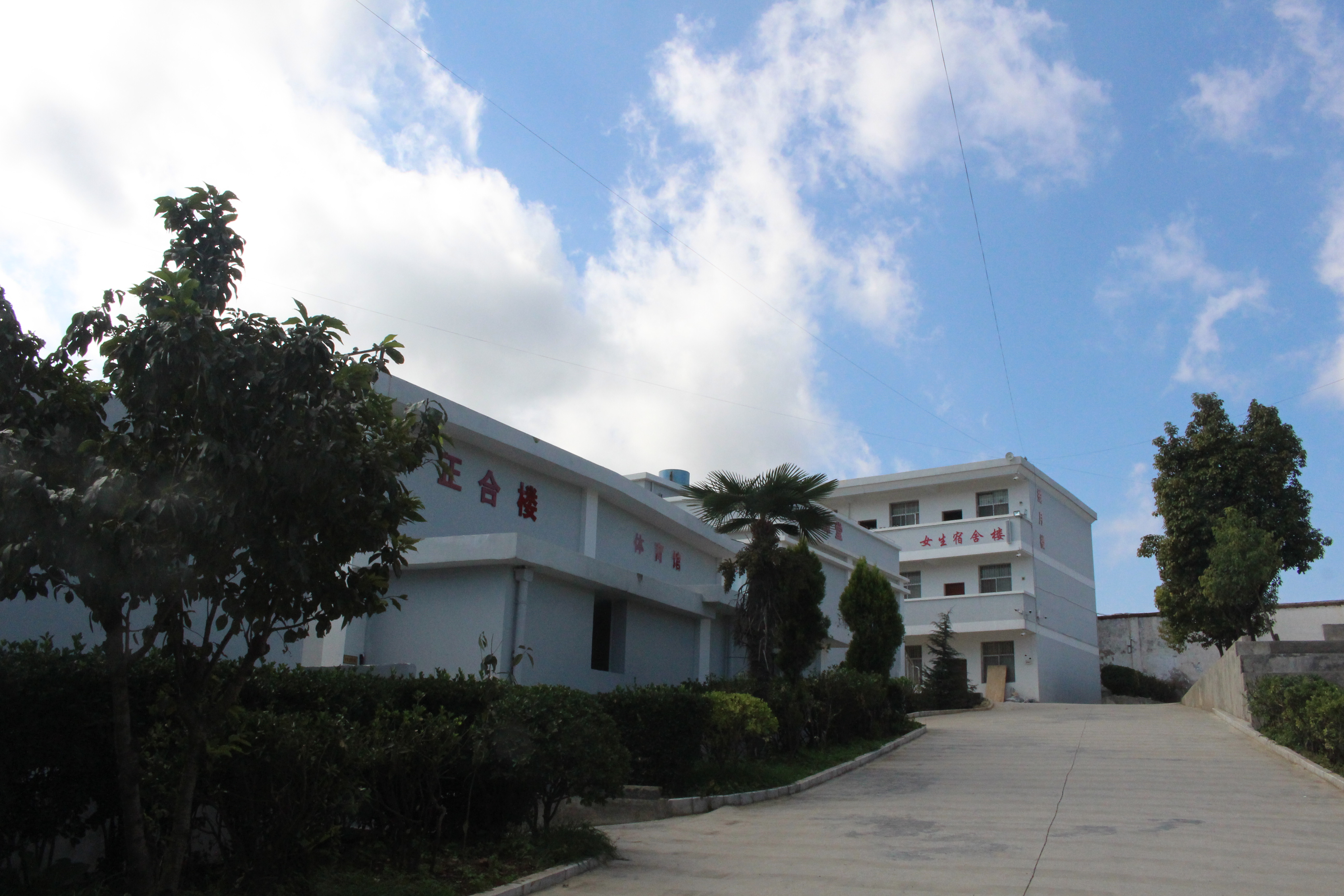 艾斯实验中学