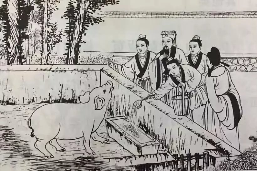 猪对中国人有多重要？_百科TA说