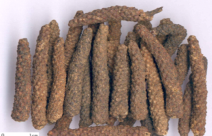 荜拨的多重身份 百科ta说