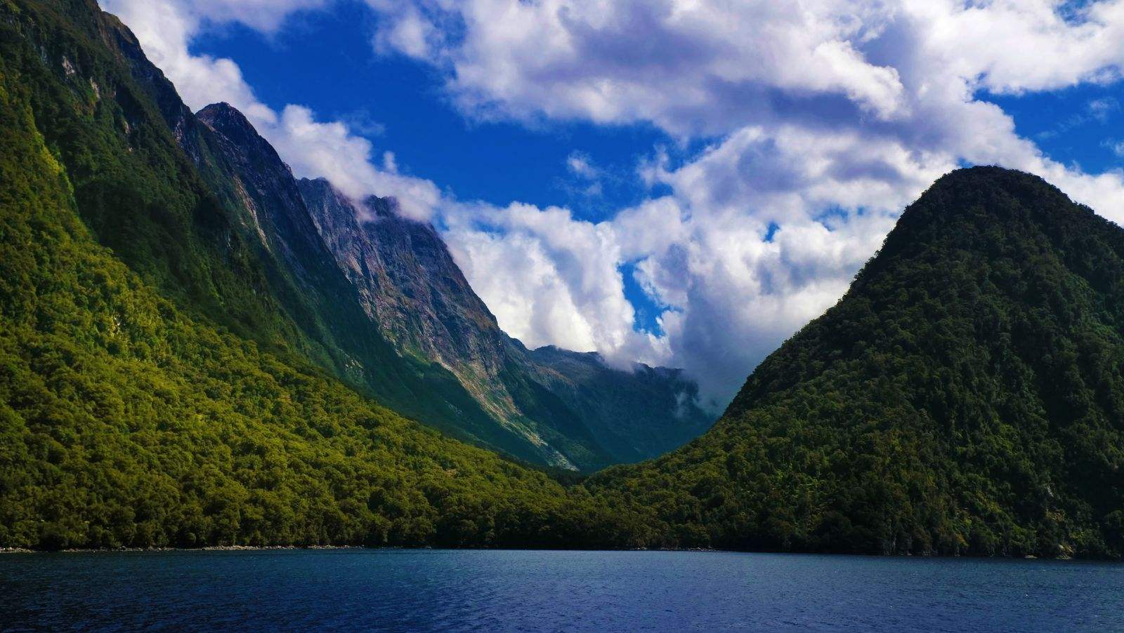 毛利语:piopiotahi),在毛利语的意思为"第一只野生画眉"(first native