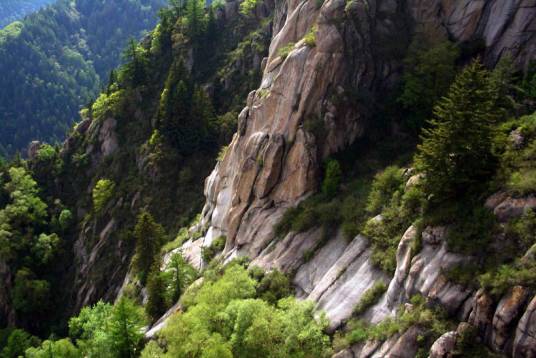 山西庞泉沟国家级自然保护区_百度百科