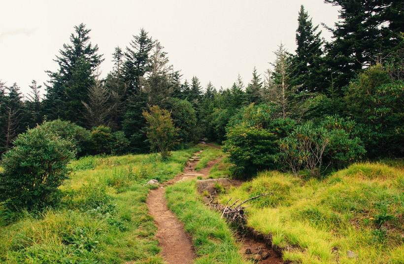 appalachian national scenic trail