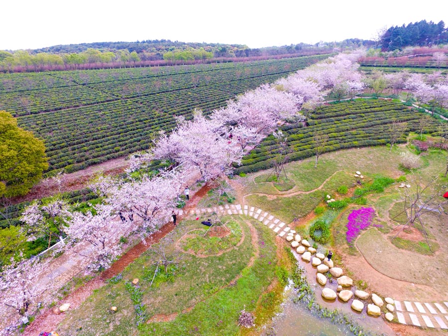 又名黄马凤凰沟或南昌凤凰沟,凤凰沟以生态农业为主题,以农业带动凤凰