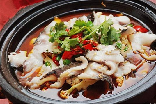 重庆太安鱼_百度百科