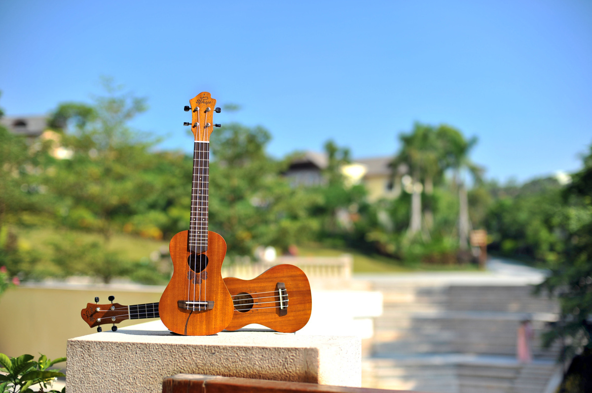 心忆(sinye)尤克里里