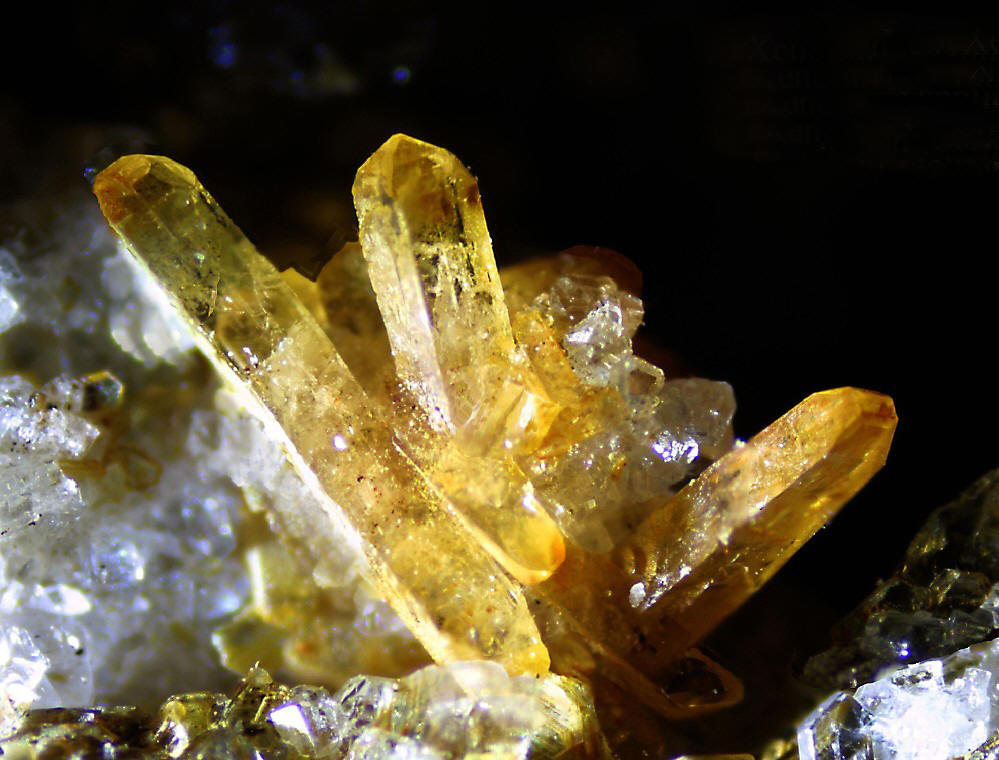  p>花岗伟晶岩(granite pegmatite)是 a href="#" data-lemmaid="