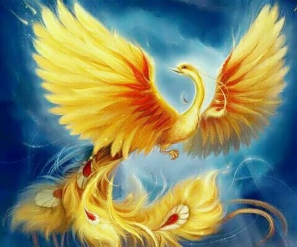  p>凤凰分五种,凤, a target="_blank" href="/item/鹓雏/1486011"