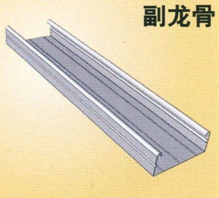 龙骨副骨