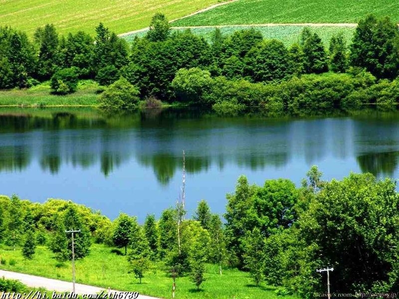 原为古海湾,被波河冲积而成冲积平原.波河平原也叫做米兰平原. /p>