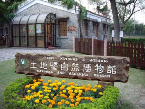 石排湾郊野公园