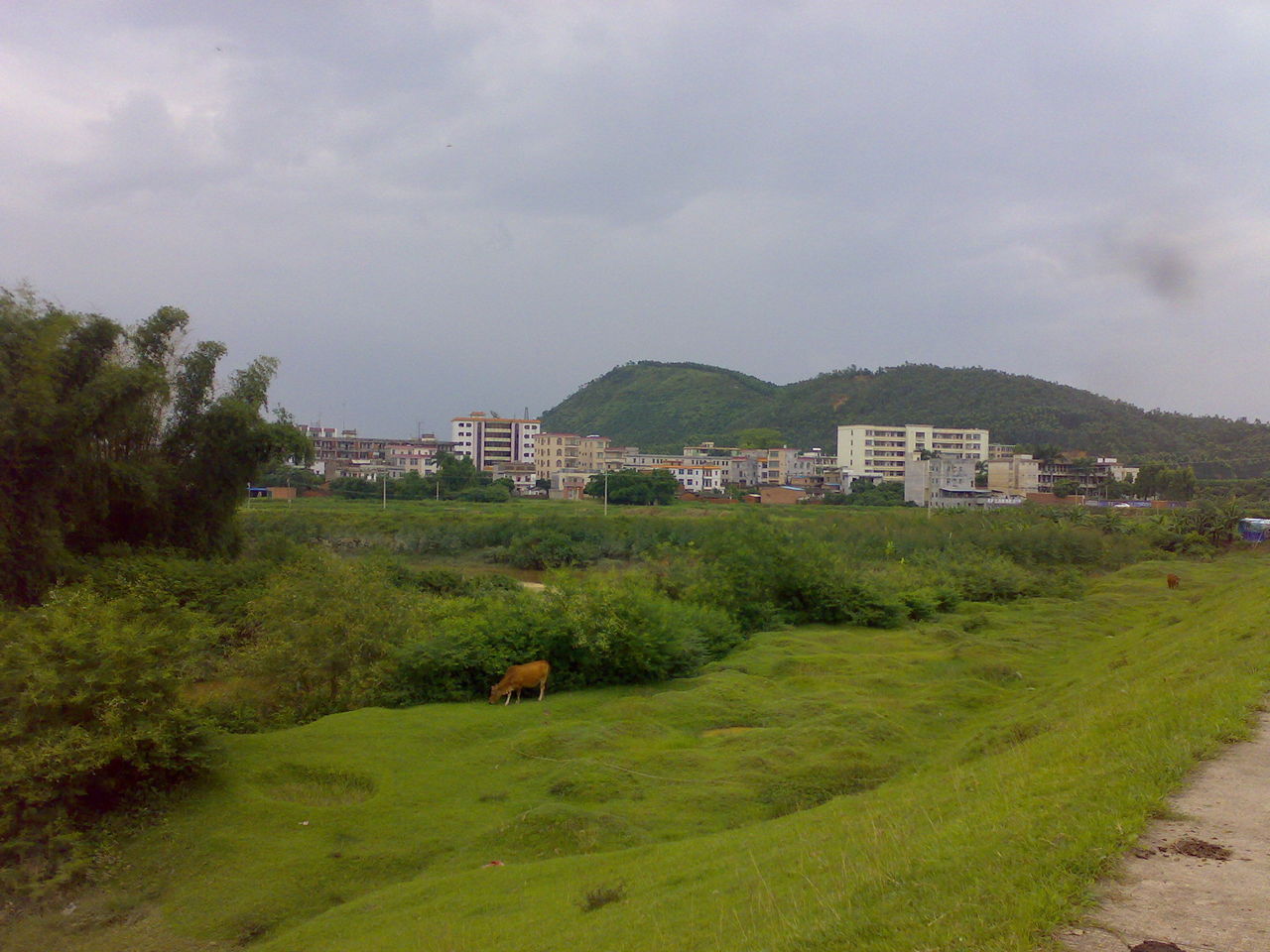 高州市沙田镇马头岭