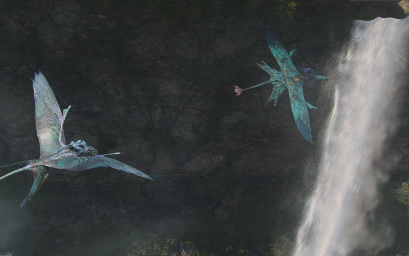  p>《阿凡达》 i>(avatar) /i>是一部由 a target="_blank" href="