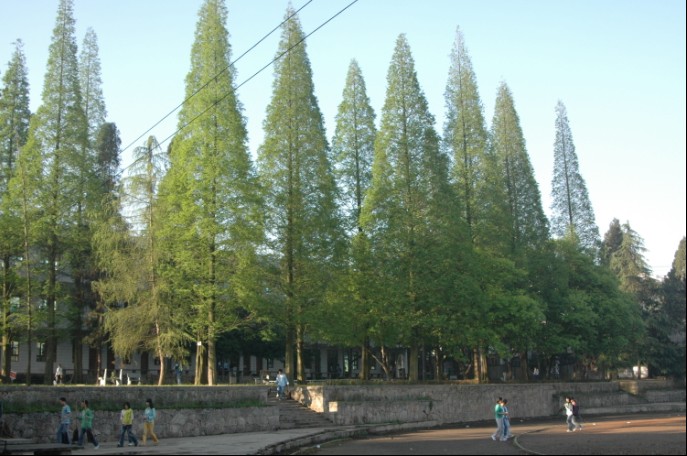  p>学校简介 金沙县第一中学简称金沙一中,学校属贵州省示范性普通