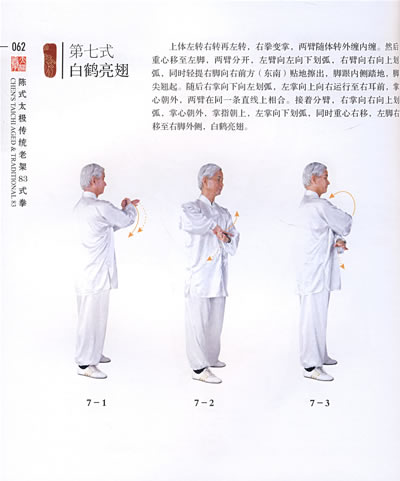 陈式老架一路太极拳