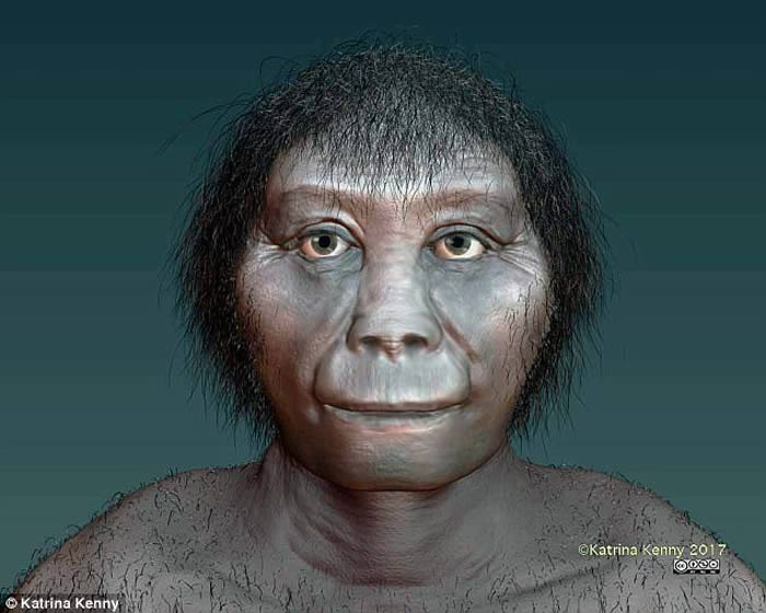 homo floresiensis