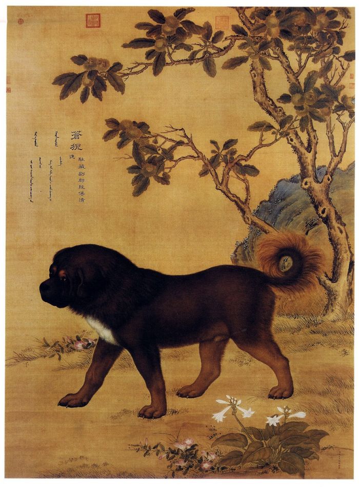 郎世寧 犬 看“宫廷画家”郎世宁画犬（1）