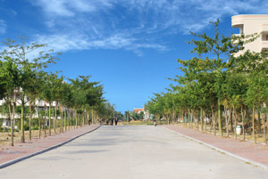 龙文中学现有48个教学班,其中高中部30个班,初中部18个班,学生2298人