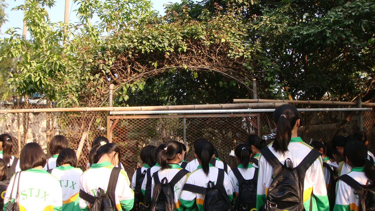  p data-id="gnx4aoy457">澄海集贤中学2010年秋季办学,是一所全日制