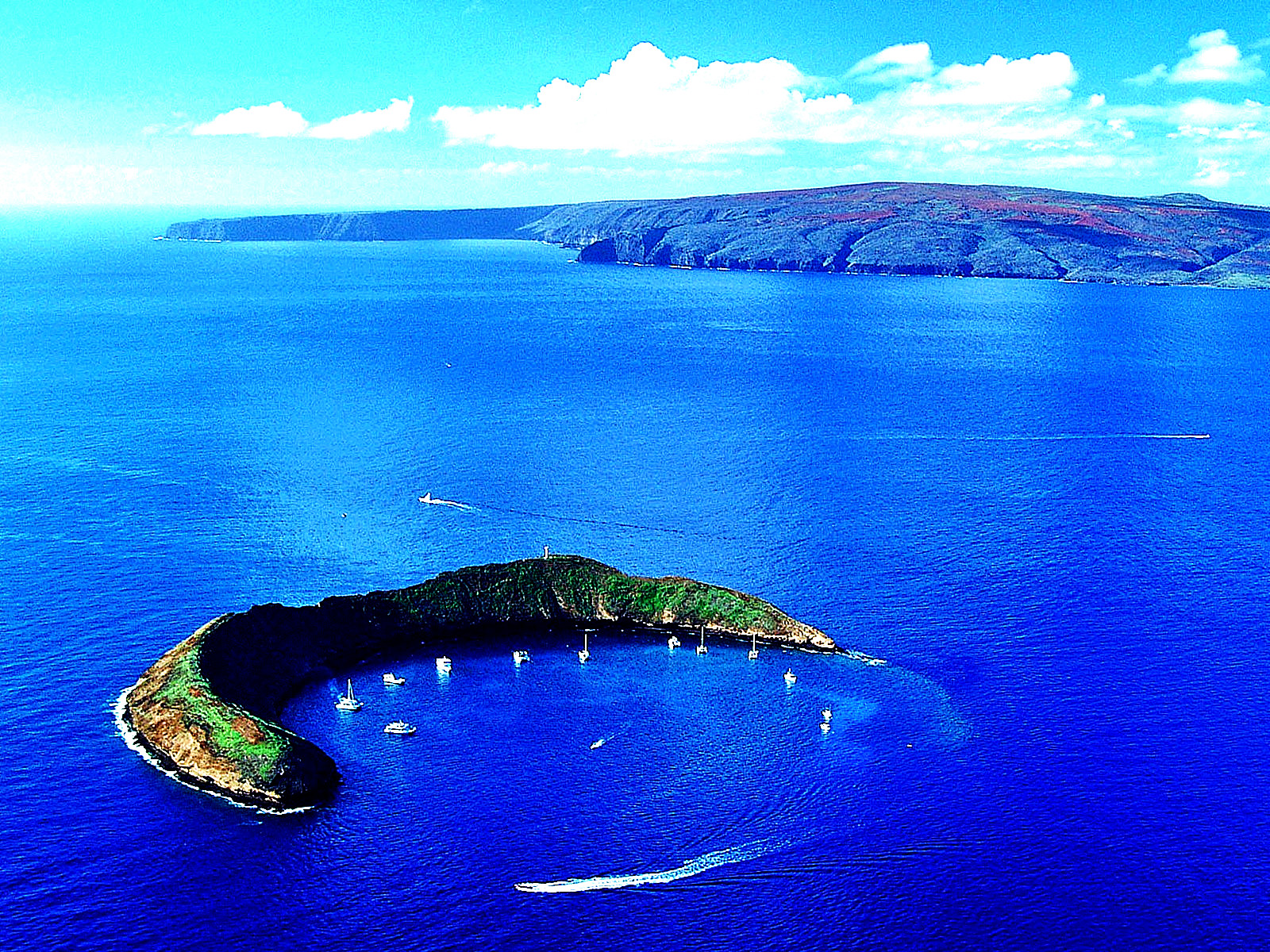  p>毛伊岛(maui )亦译 a href="#" data-lemmaid="18751191">茂伊岛 