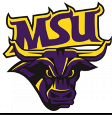  p>明尼苏达州立大学曼卡托分校(minnesota state university