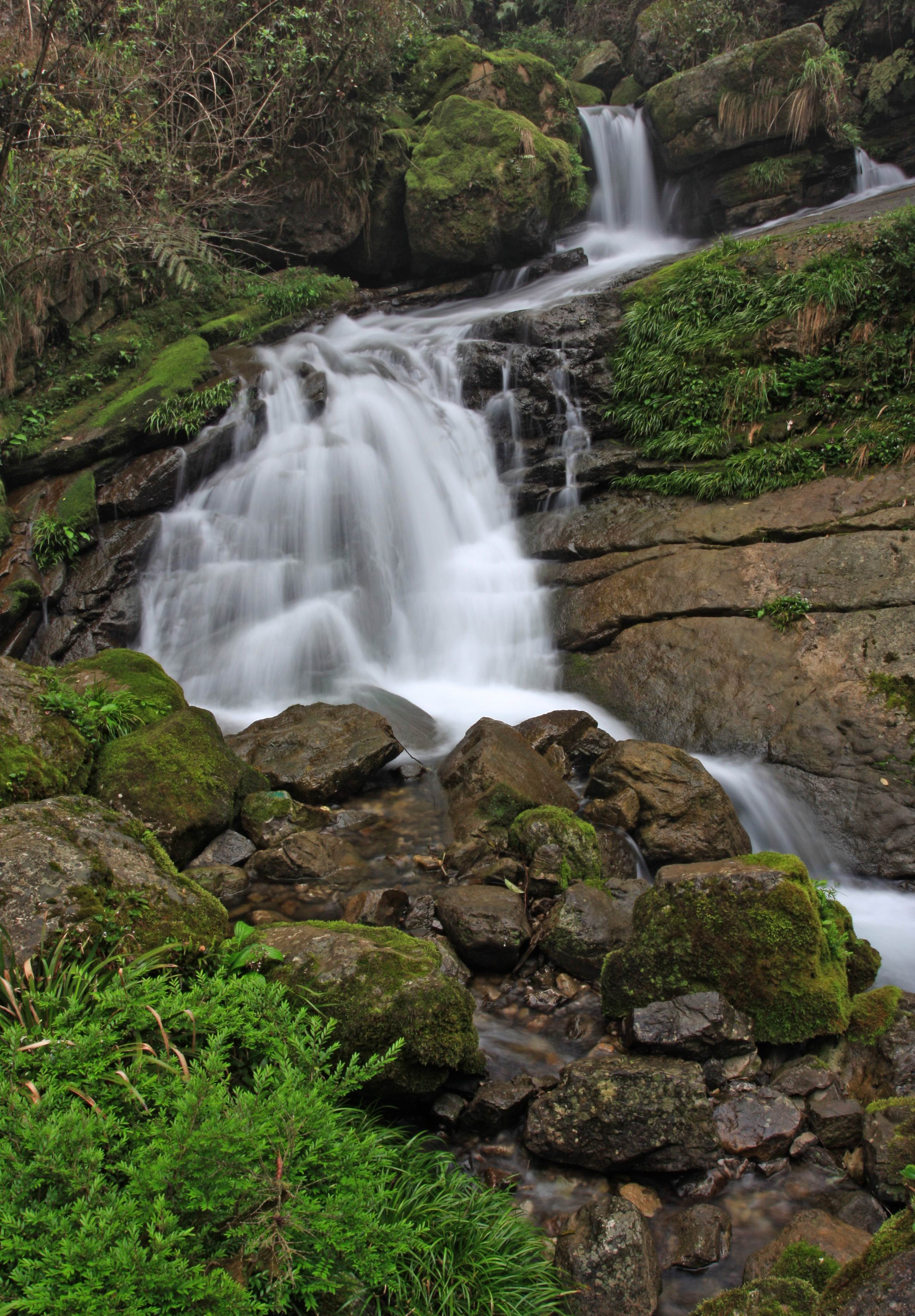 三峡竹海生态风景区