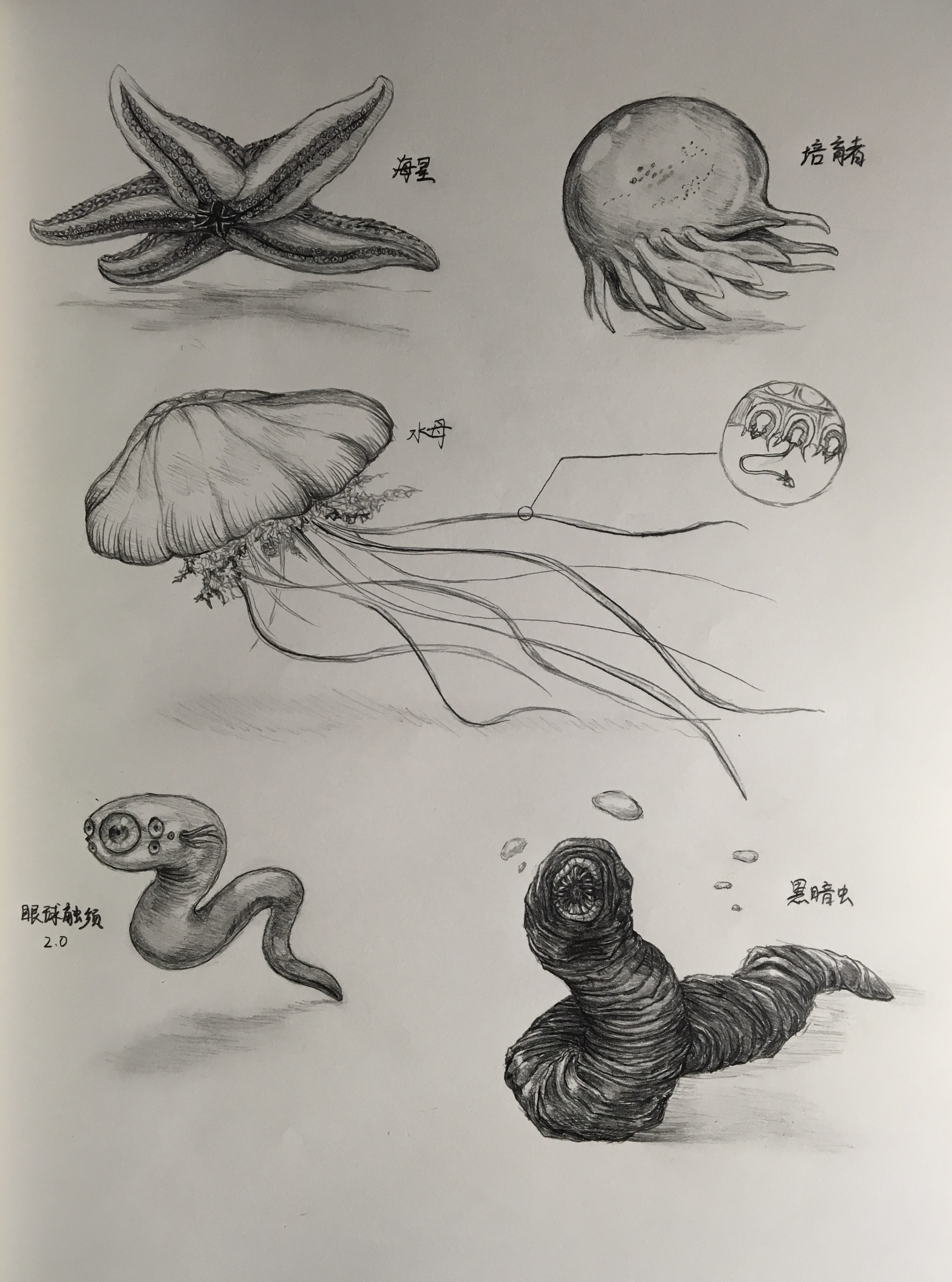 进化的六十四亿重奏