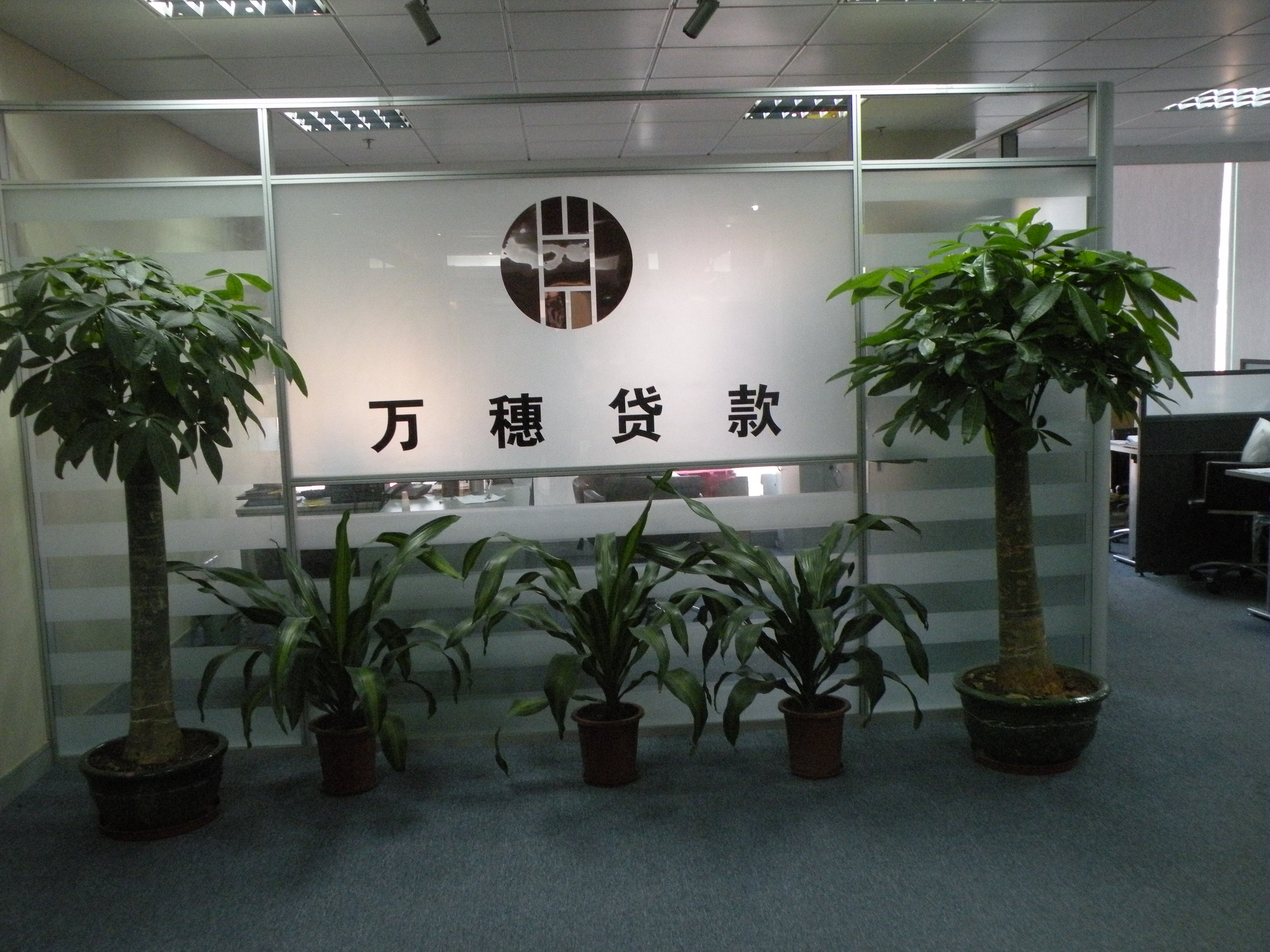 亿元人民币,是广东省首批小额贷款试点单位,广州市第一家小额贷款公司