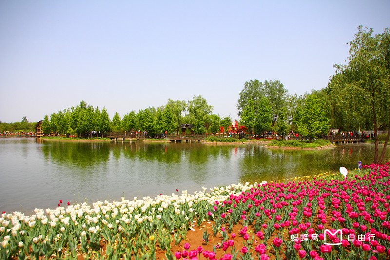  p>北京国际鲜花港是北京市政府规划的北京市唯一的专业花卉产业园区