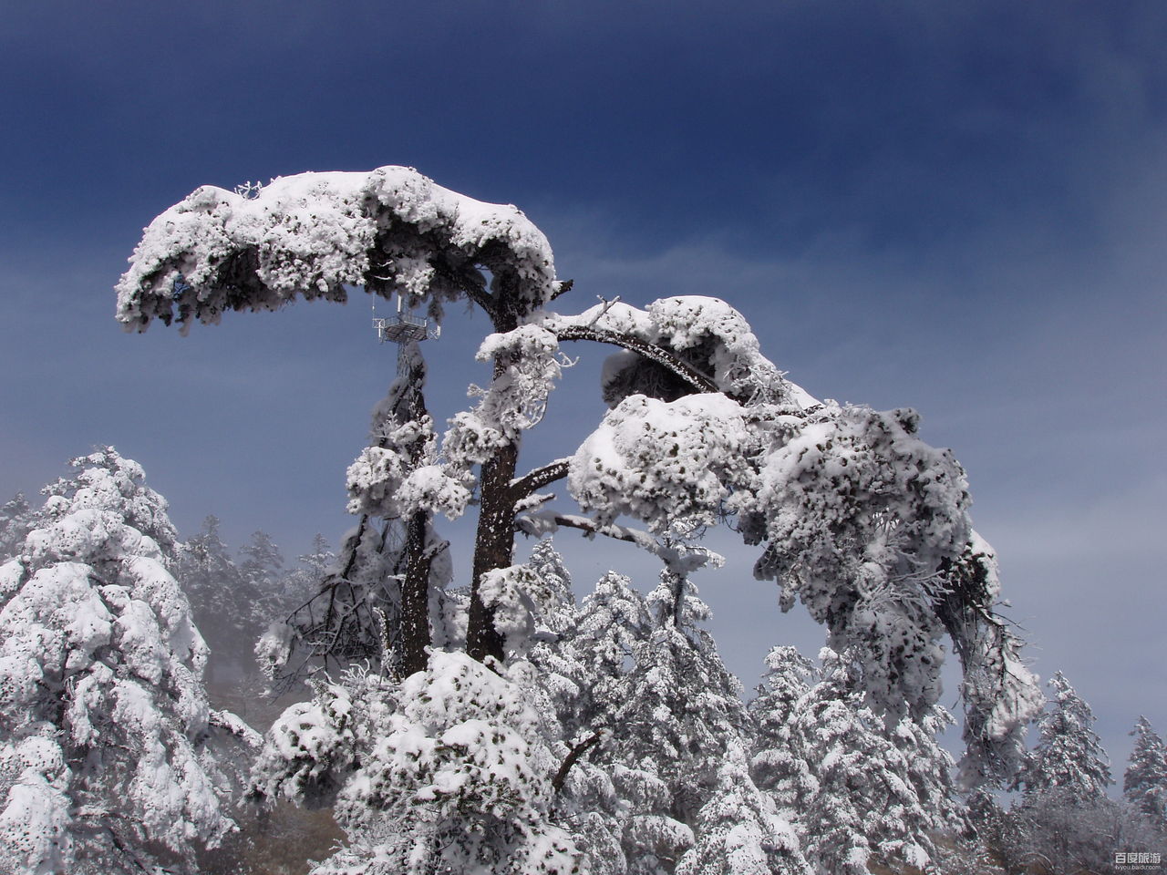 西岭雪山风景区