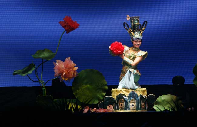 北京杂技家协会