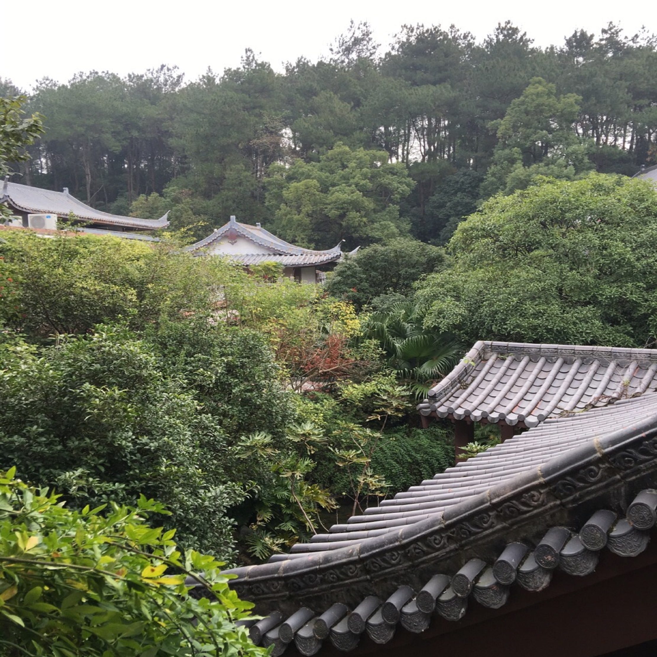 桂林市黑山植物园