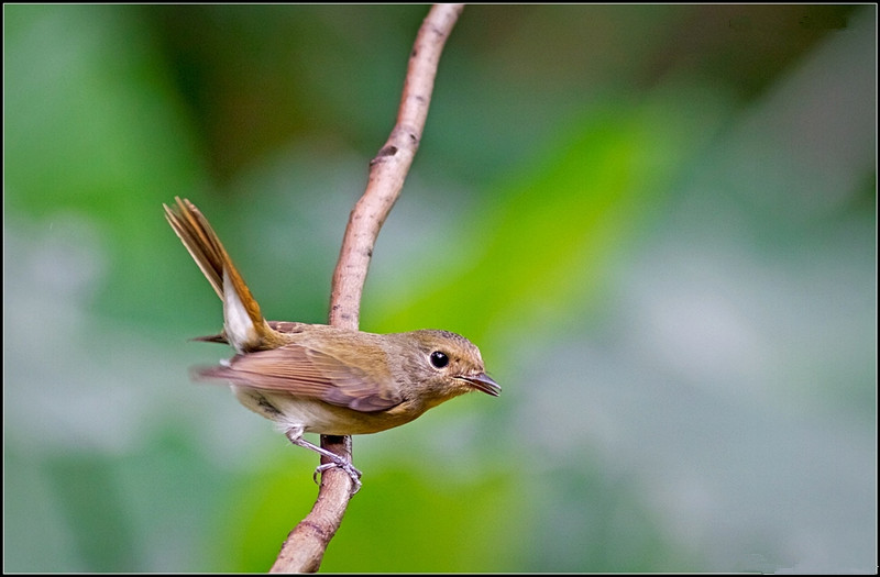 湖南千龙湖国家湿地公园
