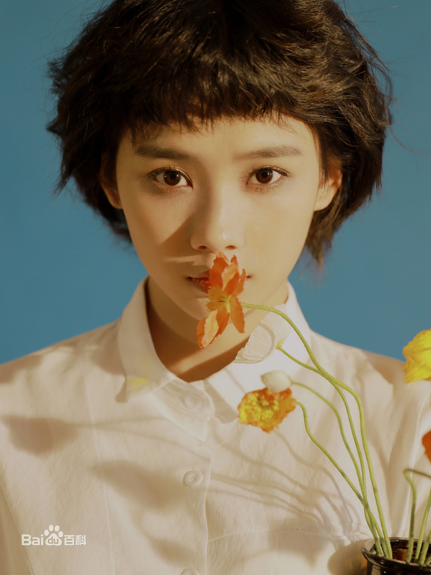 鲁照华演过那些角色_鲁照华从影角色大全_星城影视