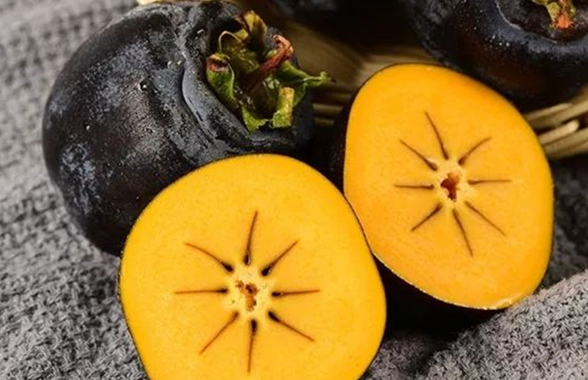  p>黑柿(学名: i>diospyros nitida  /i>merr), a href="#" data