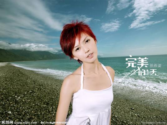 完美的一天（孙燕姿演唱专辑）_百度百科