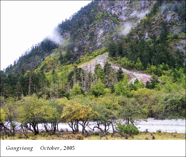 岗乡自然保护区