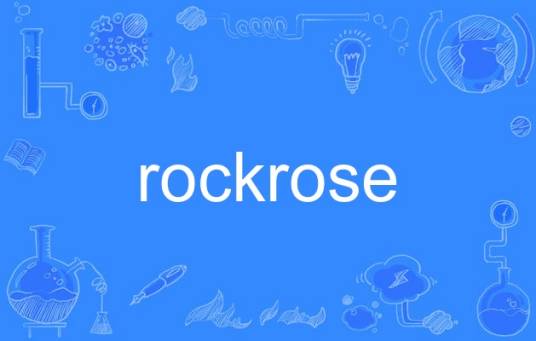rockrose_百度百科