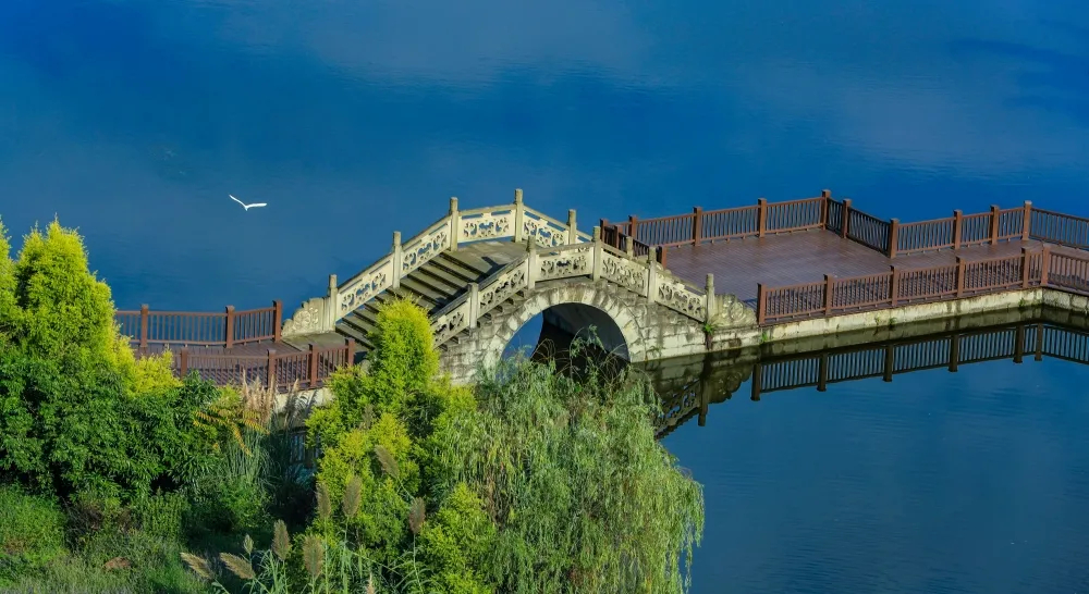 张坝桂圆林公园