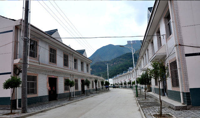 茅坪村