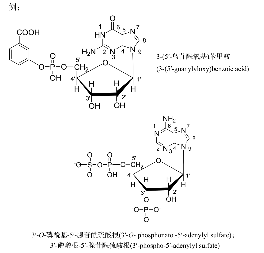 核苷酸