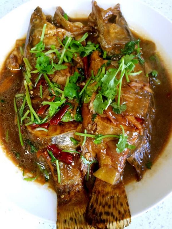 醋焖鱼
